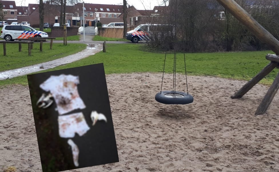 Gruwelvondst in park Alkmaar: onthoofde duiven verpakt in onderbroek, shirt en sok