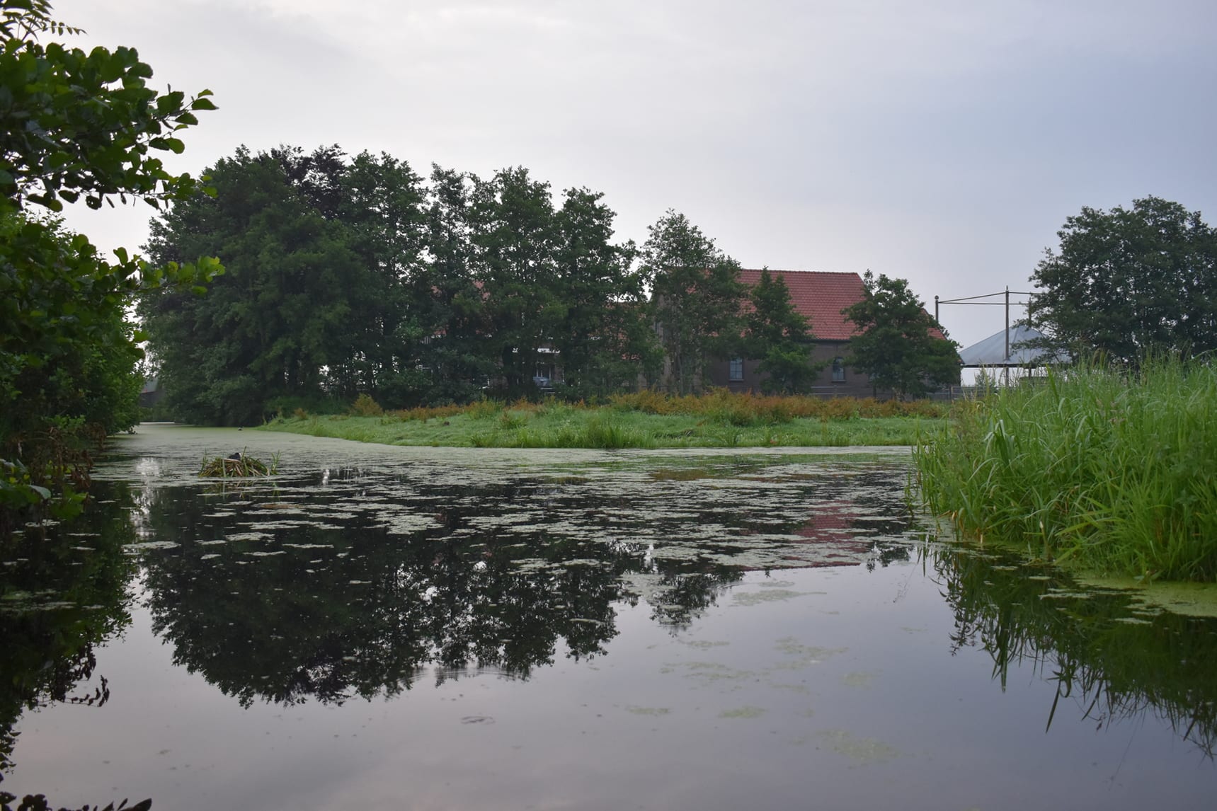 Kans op zware buien, onweer en wateroverlast