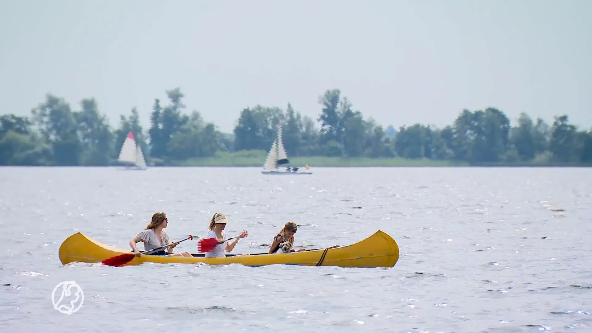 Onderzoek toont aan: op deze plekken kun je niet zwemmen vanwege PFAS