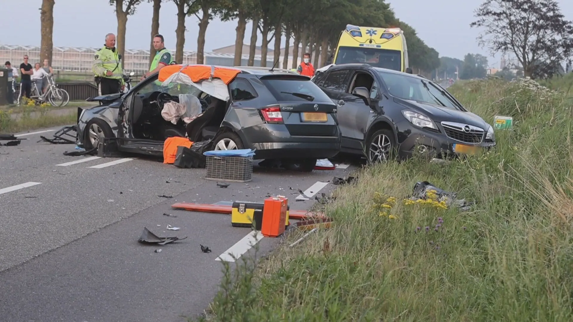 Overstekende hond zorgt voor chaos op N445 bij Hazerswoude-Dorp