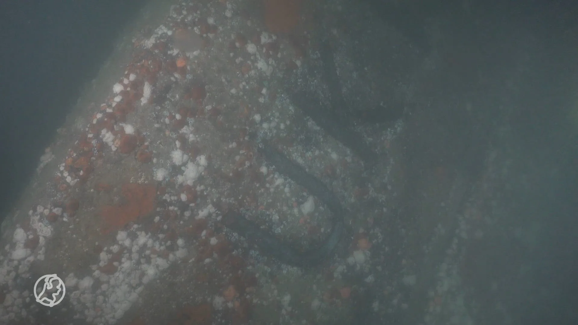 Wrak van Urker visserschip uit 1967 gevonden in Noordzee