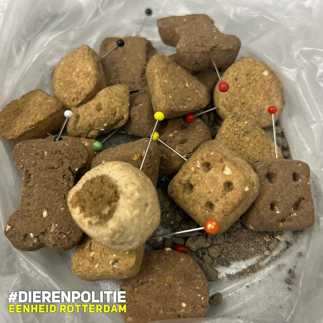 'Hondeneigenaren opgelet': hondenbrokjes met spelden erin gevonden