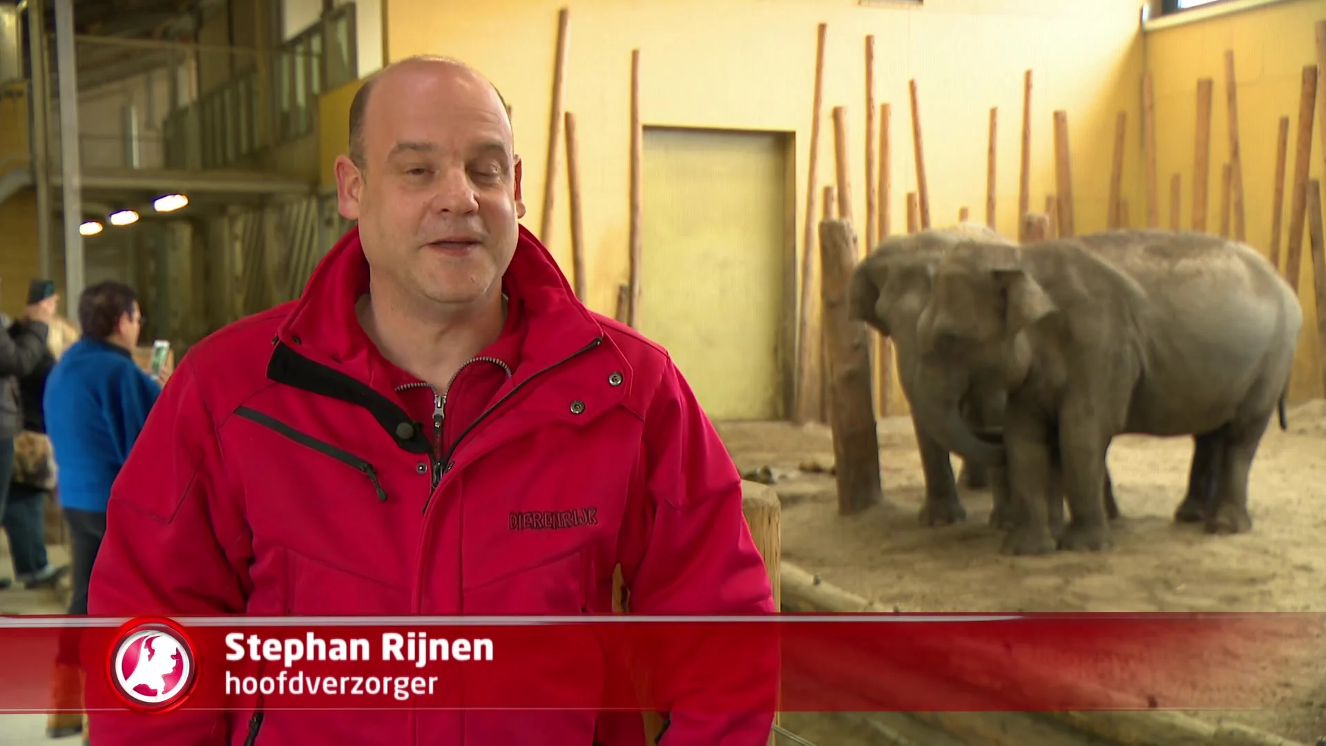 Dit zijn de eerste beelden van het babyolifantje in Dierenrijk!