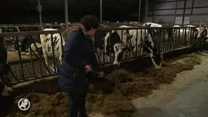 Kans weer groter dat boerenpartij meedoet aan Kamerverkiezing