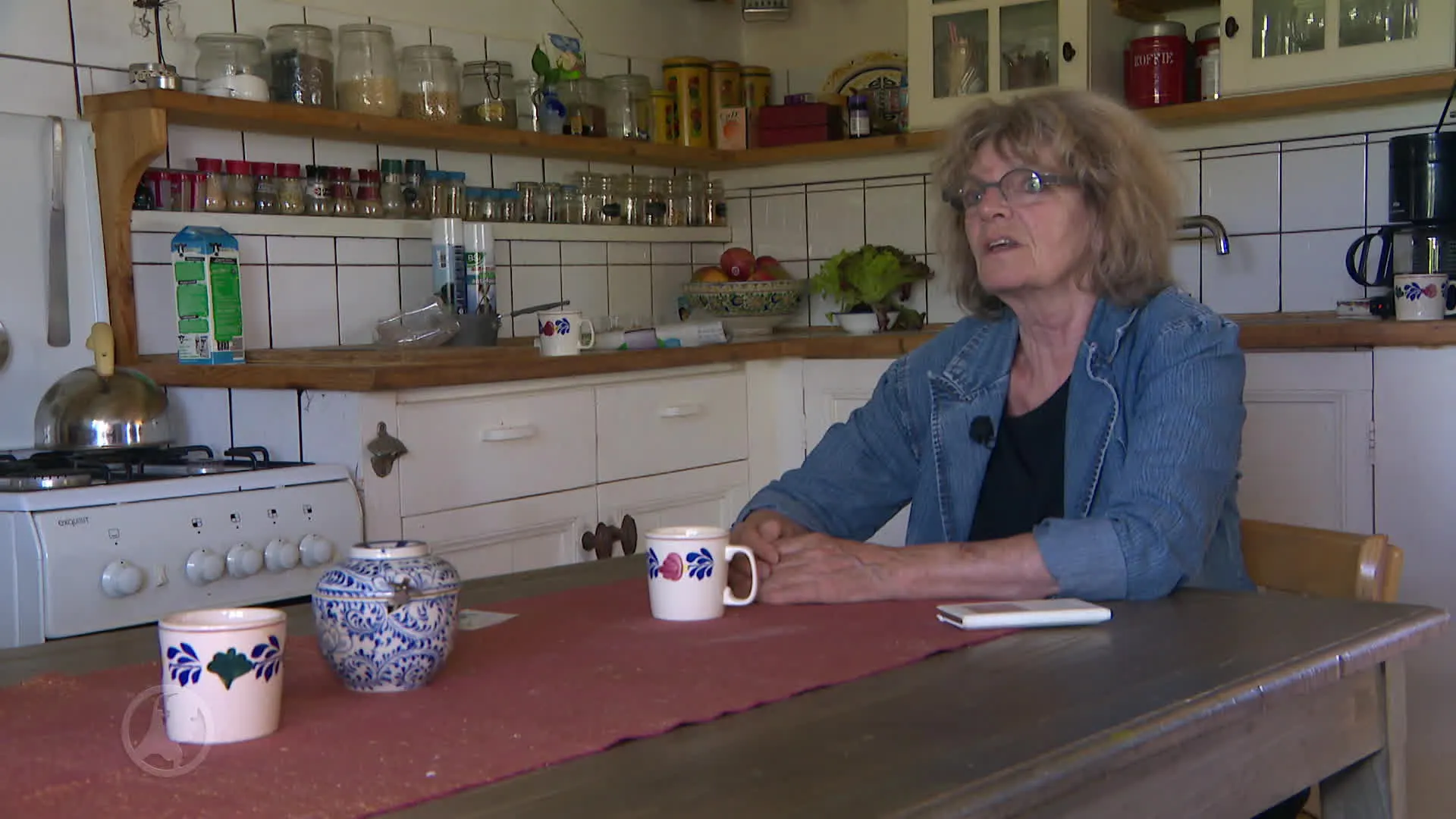 Gronings gehucht gaat gebukt onder steenmarterterreur