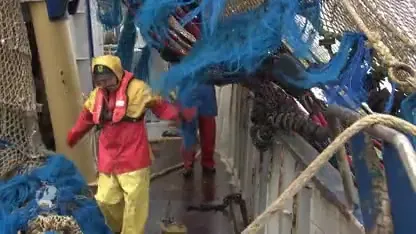 Pulsvissers leven nog altijd in grote onzekerheid