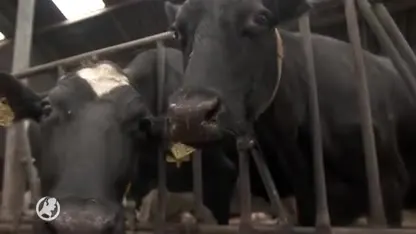 Patrick Roest gehuldigd in ‘zijn’ Lekkerkerk