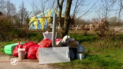Circus Renz in de problemen door coronacrisis: 'Dieren hebben bijna geen eten meer'