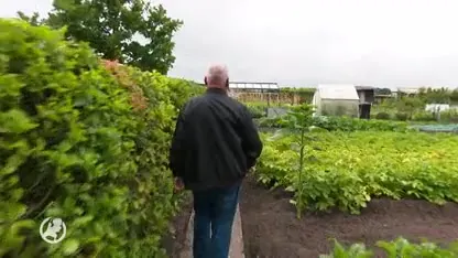 Tuincomplex Hoop der Toekomst vernield