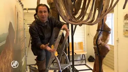 Bart puzzelt in tien jaar tijd gigantische mammoet van twee ton bij elkaar