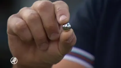 Bedrijf in Wezep al acht keer beschoten met katapult: 'Het is gewoon laf'