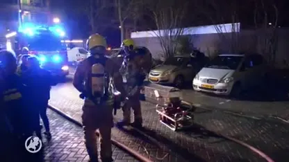 Brand verwoest kinderboerderij in Maassluis