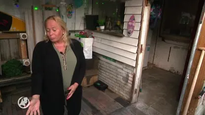 Ratten houden Nijmegenaren uit hun slaap