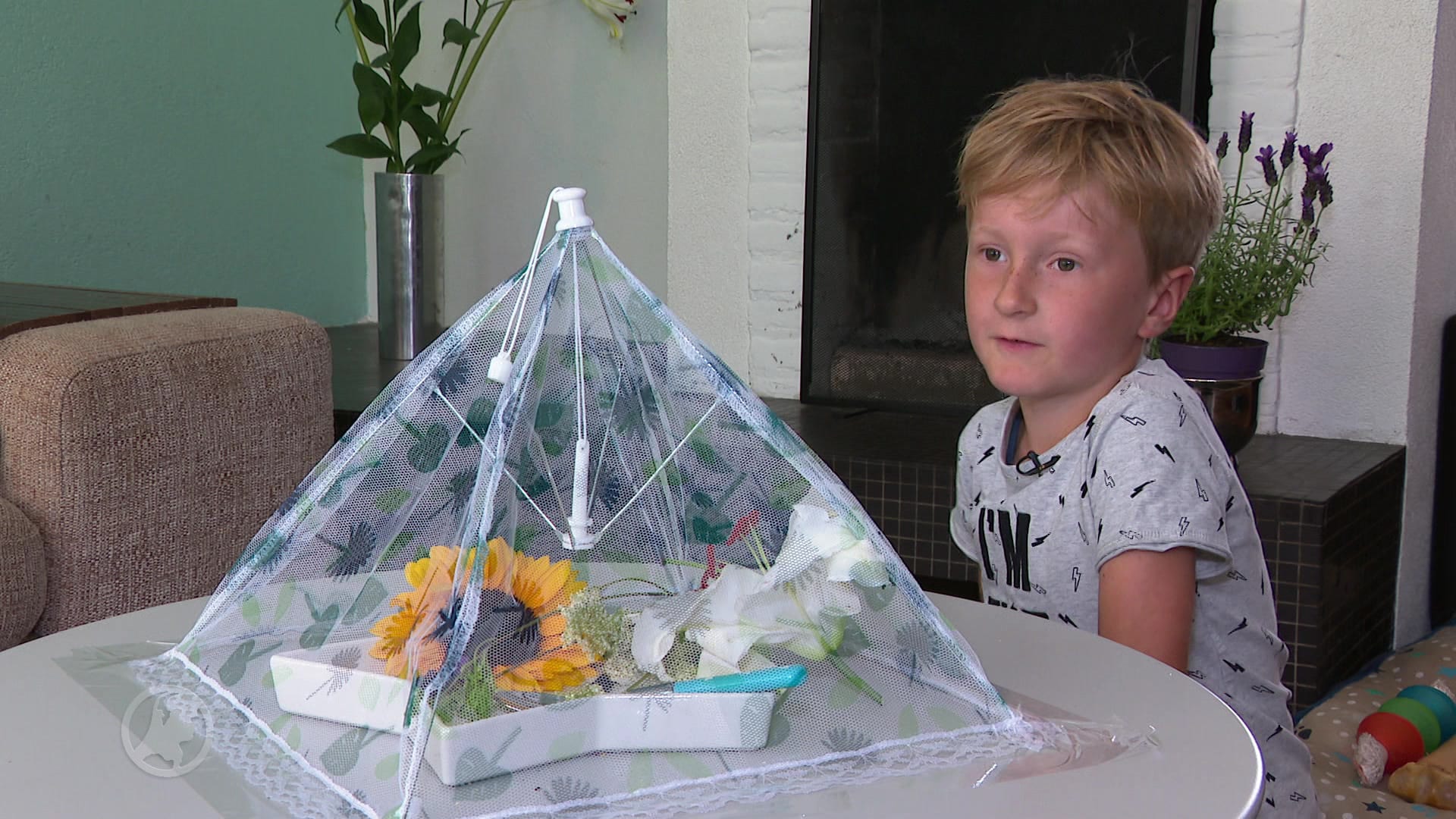 Brent (7) ontfermt zich over gewonde hommel