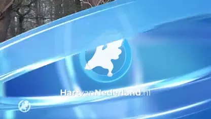 Paard in de penarie met man en macht uit de modder getrokken