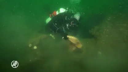 Duikexpeditie bergt 2500 kilo afval van bodem Noordzee