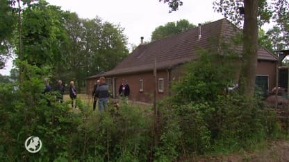 Burgers slepen overheid voor de rechter om stankoverlast door megastallen
