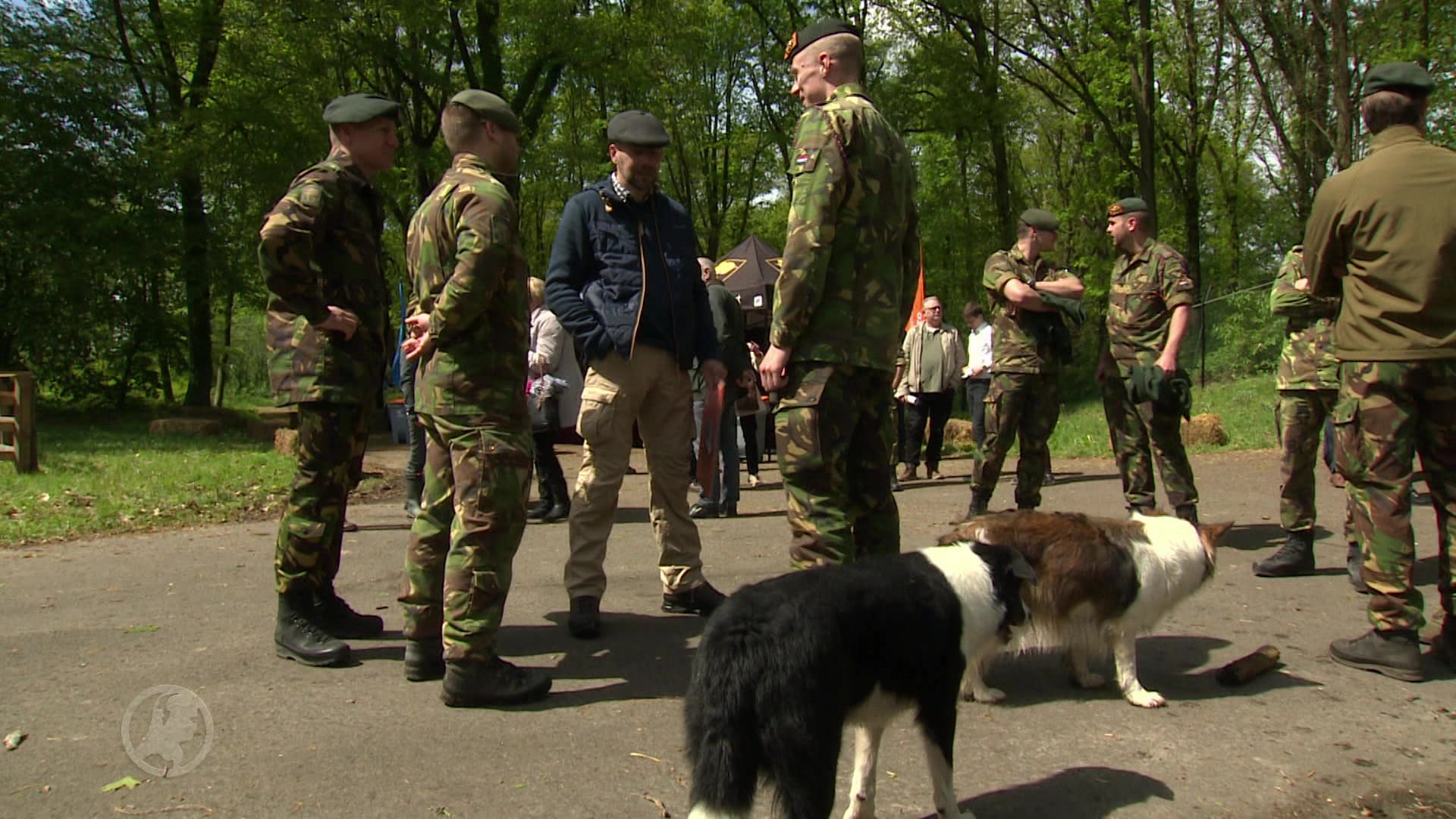 Andries met PTSS mag schapen drijven op militair terrein