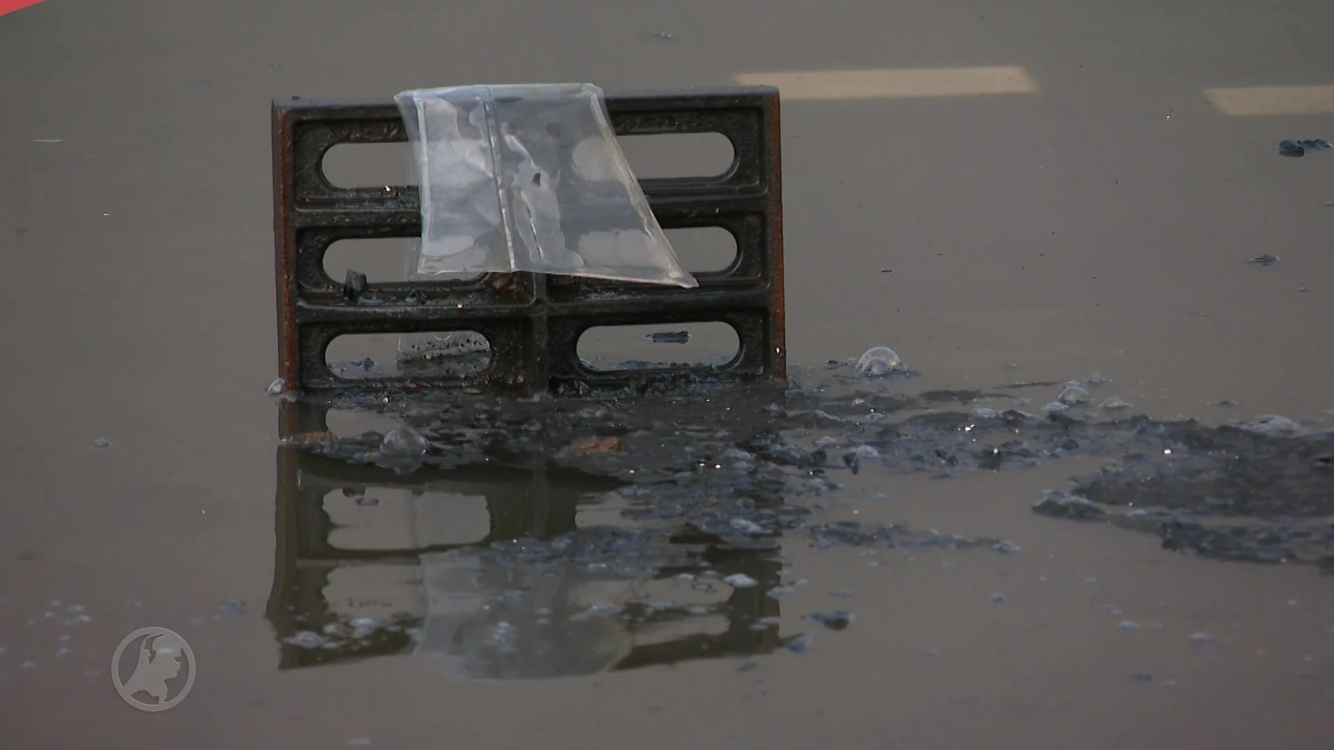 Visbedrijf op Urk getroffen door brand: 'Dit is de tweede keer in 7 jaar'