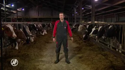 Boeren zijn boos: 'We zitten in de hoek waar de klappen vallen'