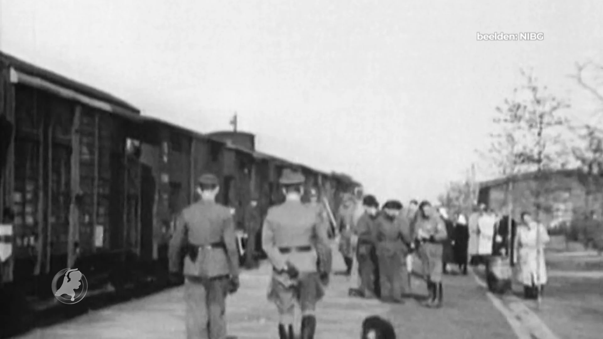 Erfenis van Joodse verpleegster in Westerbork blijkt goudmijn aan verhalen