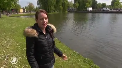 Aangifte circus voor laten ontsnappen dieren in Hendrik-Ido-Ambacht