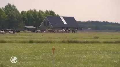 Koud! Maar riviertje in achtertuin is uitkomst voor synchroonzwemmende zussen