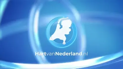 Auto vliegt in brand na botsing in Casteren; bestuurder komt om