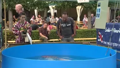 Hoe kweek je een koi-kampioen (en verdien je daar lekker aan)?