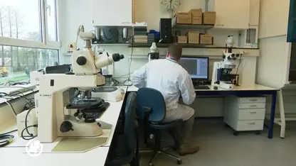 Scholieren Mohamed en Ouail uit Utrecht ontdekken nieuwe soort schimmel