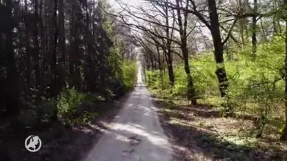 Coronavirus treft zorgboerderijen: 'Die mensen hebben structuur nodig, nu valt alles weg'