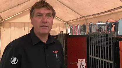 Chimpansee Koko & co keren terug naar huis