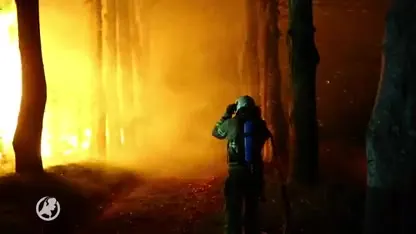 Grote brand verwoest loods in Oldebroek