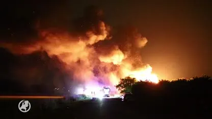 Hondje Brutus redde baasje van brand