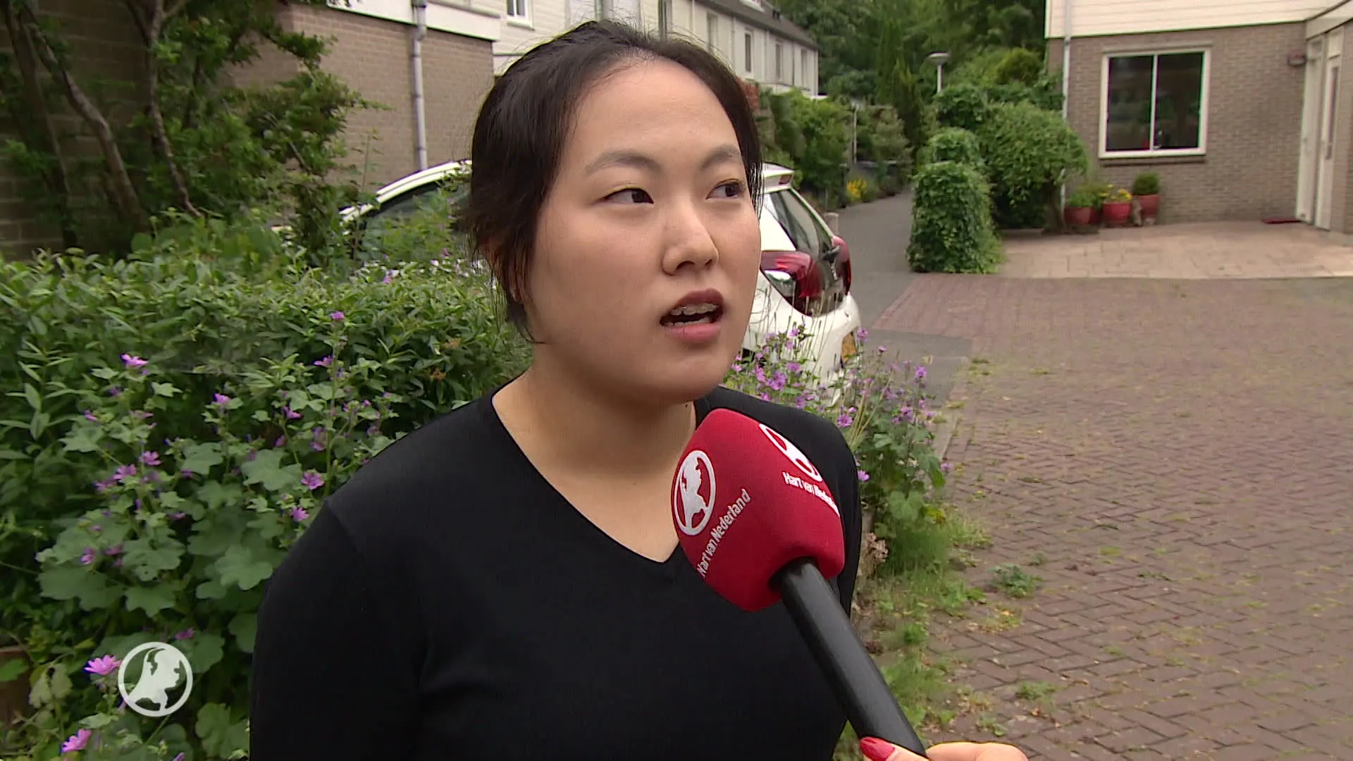 Koreanen in Nederland over top Trump en Kim: 'Ik ben erg dankbaar voor deze ontmoeting'