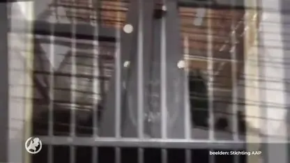 Chimpansee Koko weer terug in dierentuin Macedonië