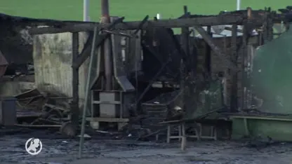 Zes honden dood door brand bij hondenopvang Zuidoostbeemster