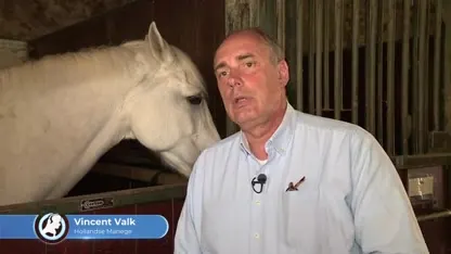 ‘Amsterdamse stadsmanege zorgt slecht voor haar paarden’