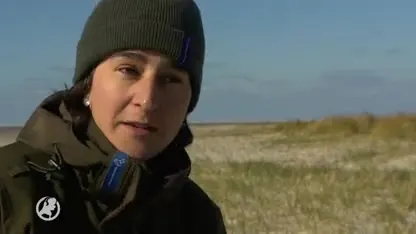 Extra controles na ramp containerschip Zoë