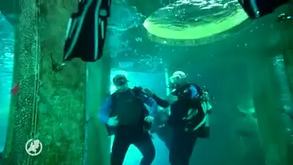 Jostiband speelt onderwaterconcert en hoopt op wereldrecord