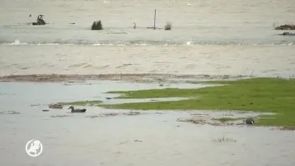 Biesbosch loopt onder water