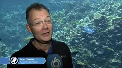 Dankzij groot succes koraalrif schenkt Burgers' Zoo deel aan Engelse dierentuinen