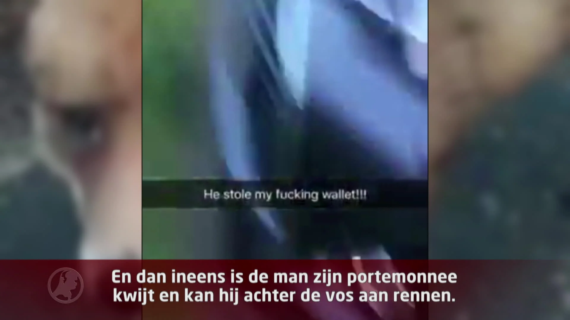 VIDEO: Brutale vos steelt portemonnee uit tas