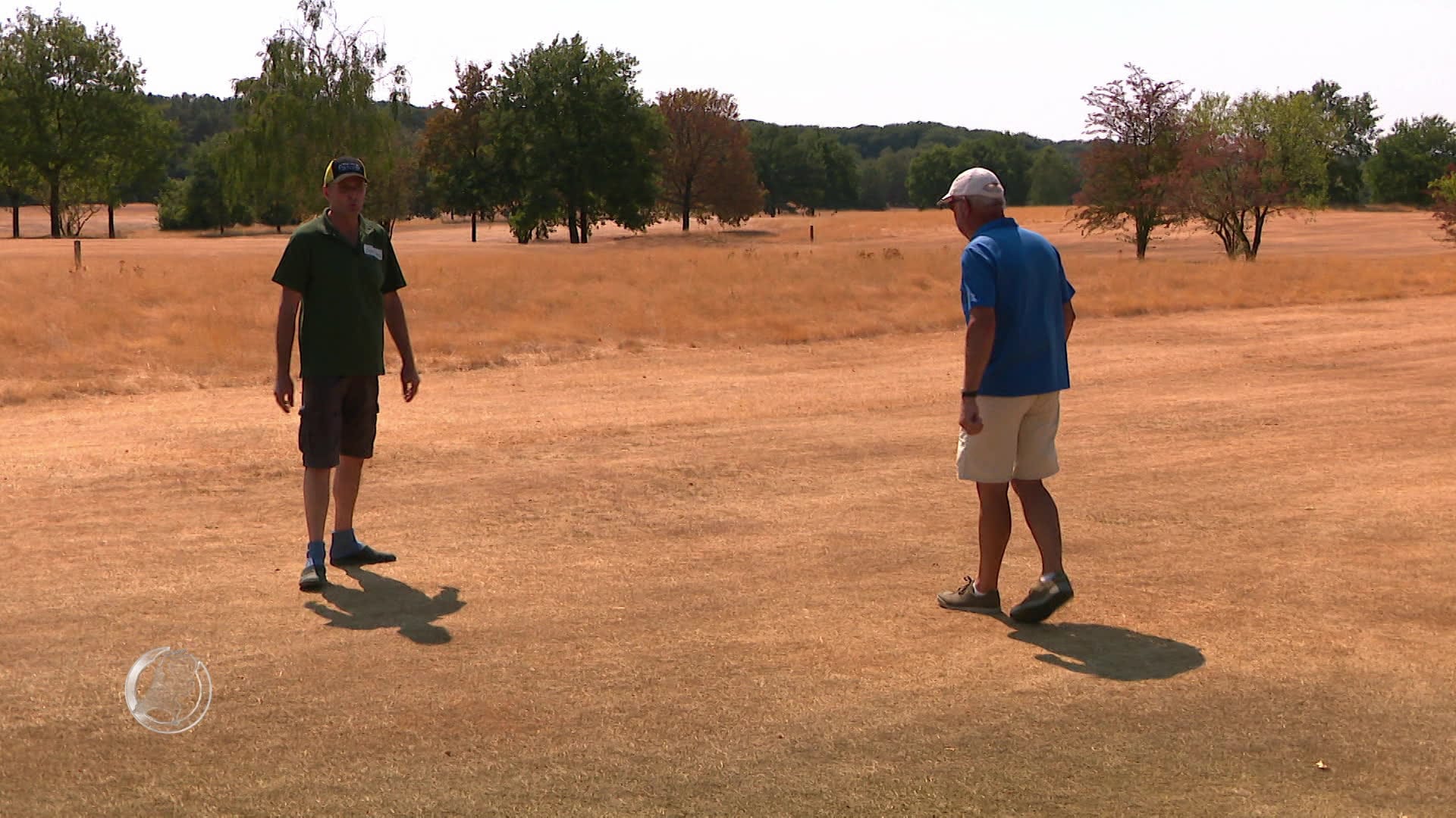De green van golfclub Papendal ziet geel van de droogte