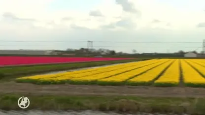 Tientallen campers alvast in de rij voor mooi plaatjes voor bloemencorso