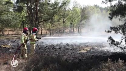 Natuurgebied afgesloten na grote heidebrand in Son