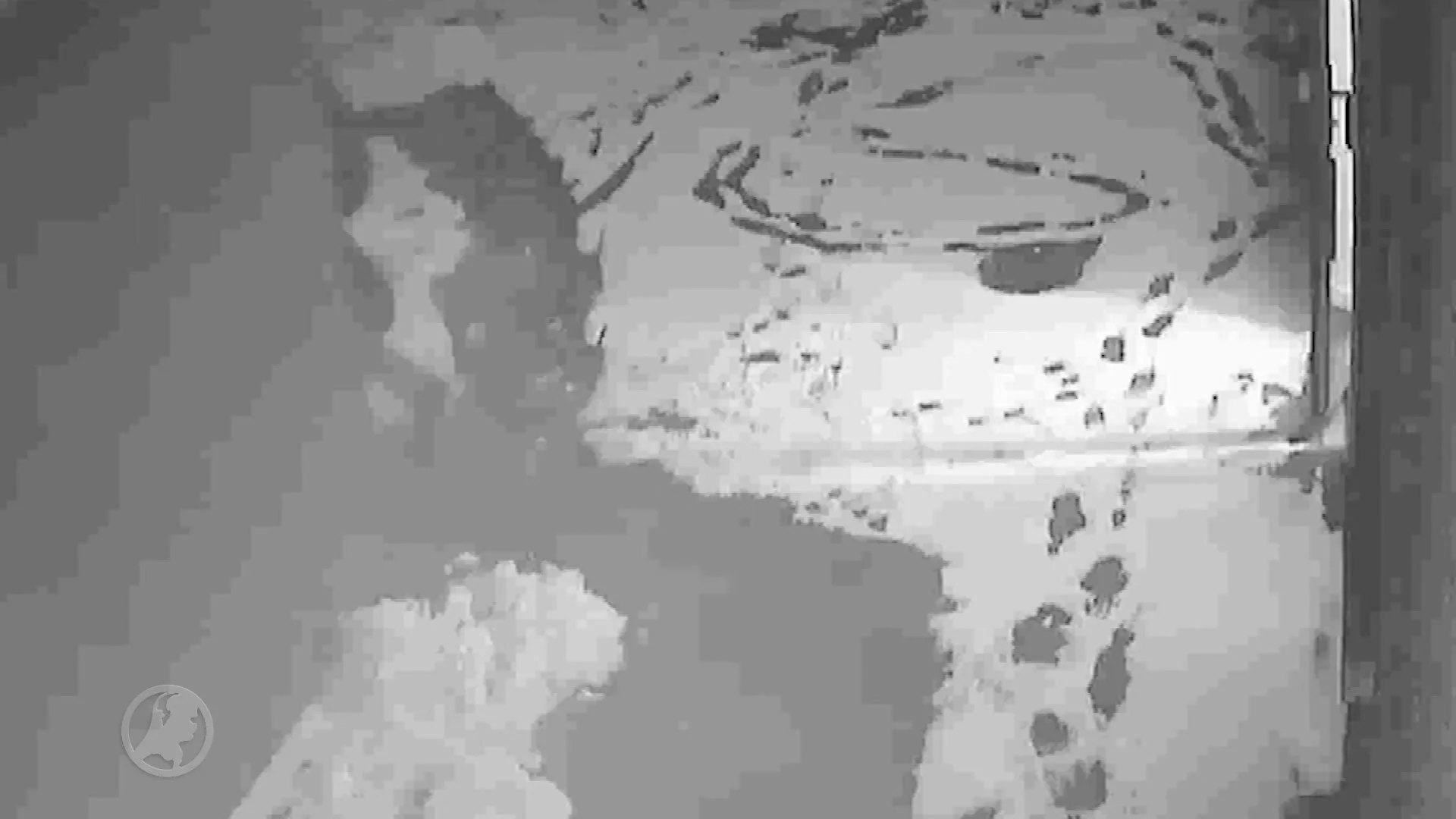 Bewakingsbeelden van kluisjesroof Rabobank Oudenbosch getoond