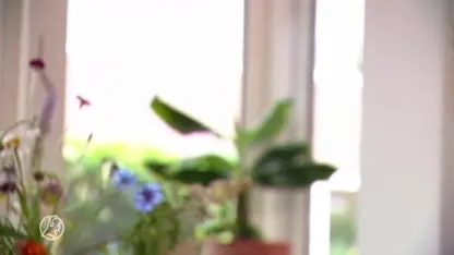 Marcelle had seks tegen haar wil: 'Dit is niet minder erg dan verkrachting, dit ís verkrachting'