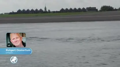 Groep dolfijnen gespot voor Noord-Hollandse kust