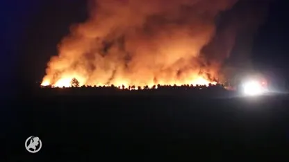 Grote brand in loods Wouwse Plantage